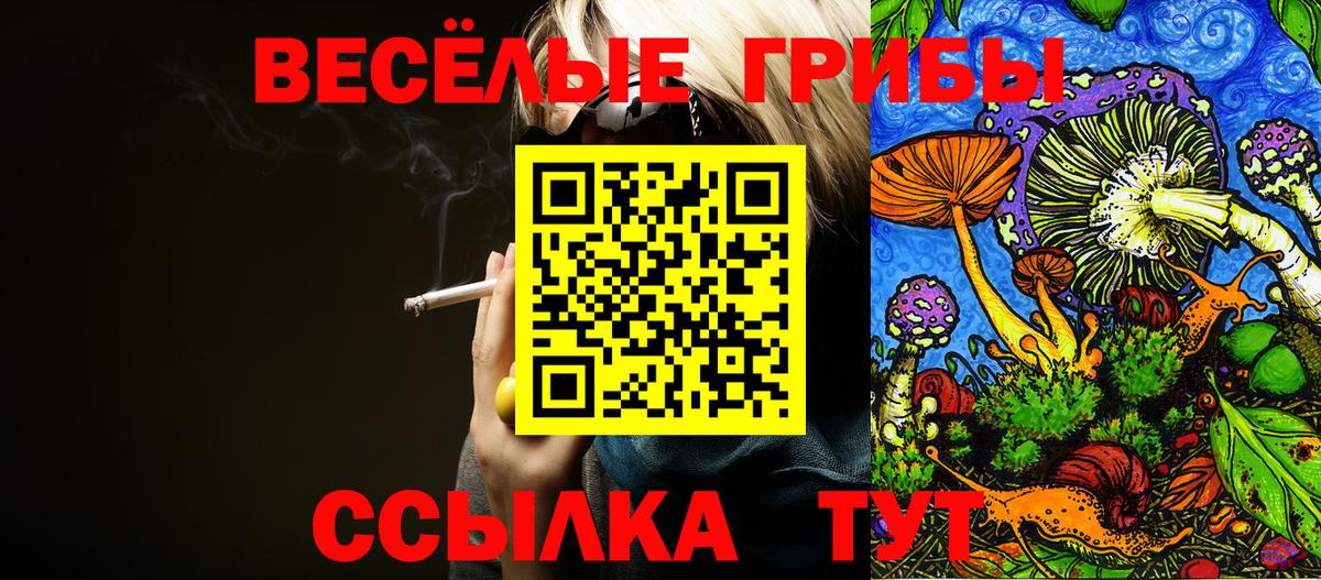 Псилоцибиновые грибы GOLDEN TEACHER Юрга