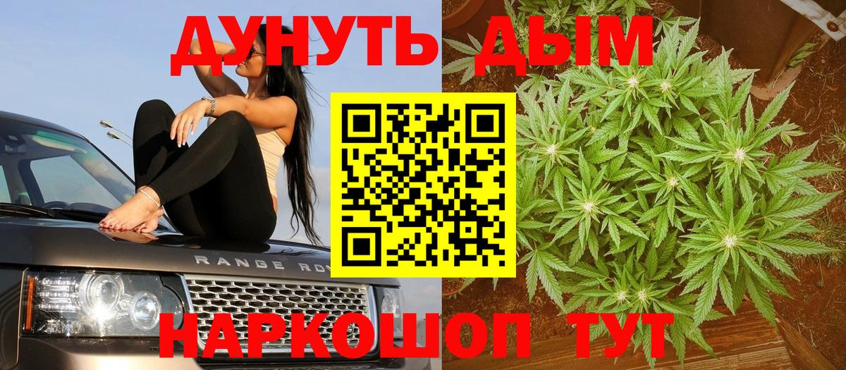 Юрга  Конопля AK-47  Каннабис семена  Канабис MAZAR  Вход с VPN 